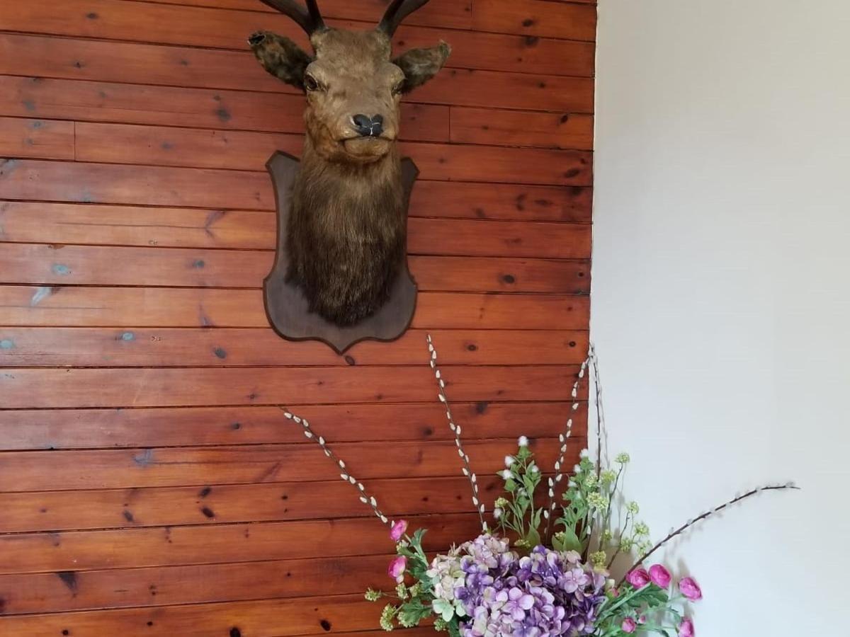Glenan Lodge Self Catering Tomatin ภายนอก รูปภาพ